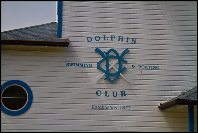 DolphinClub-1